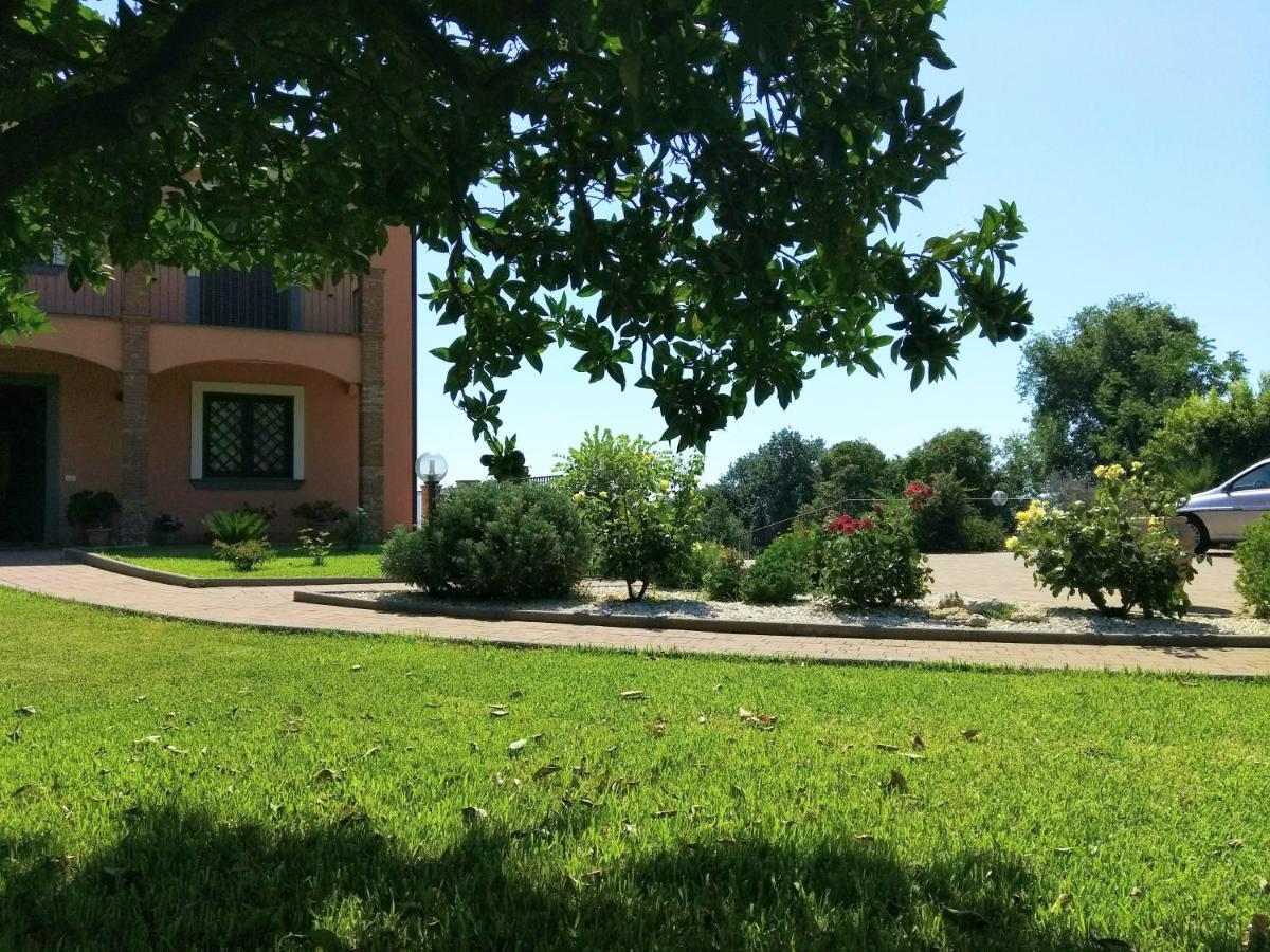 Villa Feluchia Tra Il Mare E Il Vulcano Acireale Exterior foto
